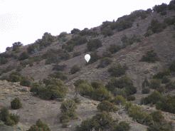 Balloon showing the way