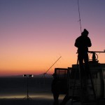 Antennas at Dawn